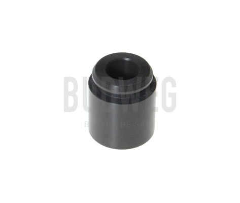 Piston, brake caliper